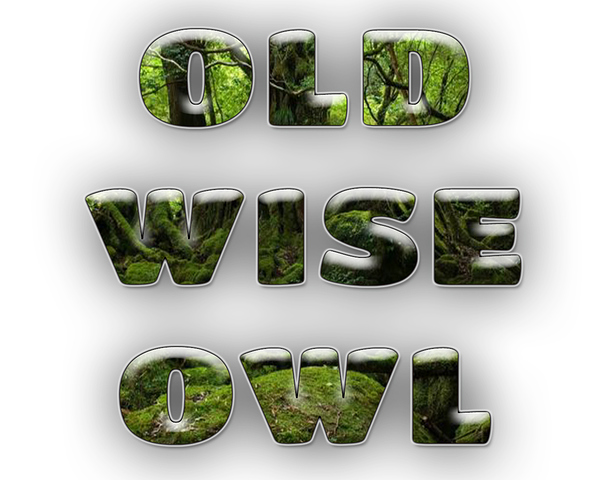Old_wise_owl